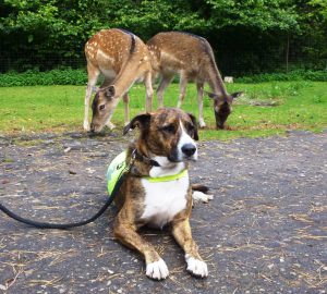 wildtierpark